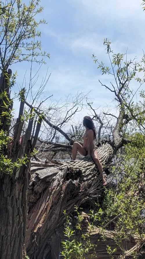 Always looking for the good sunbathing spots by MistressRayon