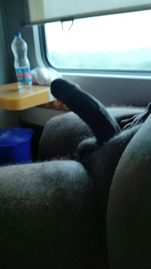 Bored in the train ..... I wish any milf or gilf joins the journey along with me  by DifficultyNo8056