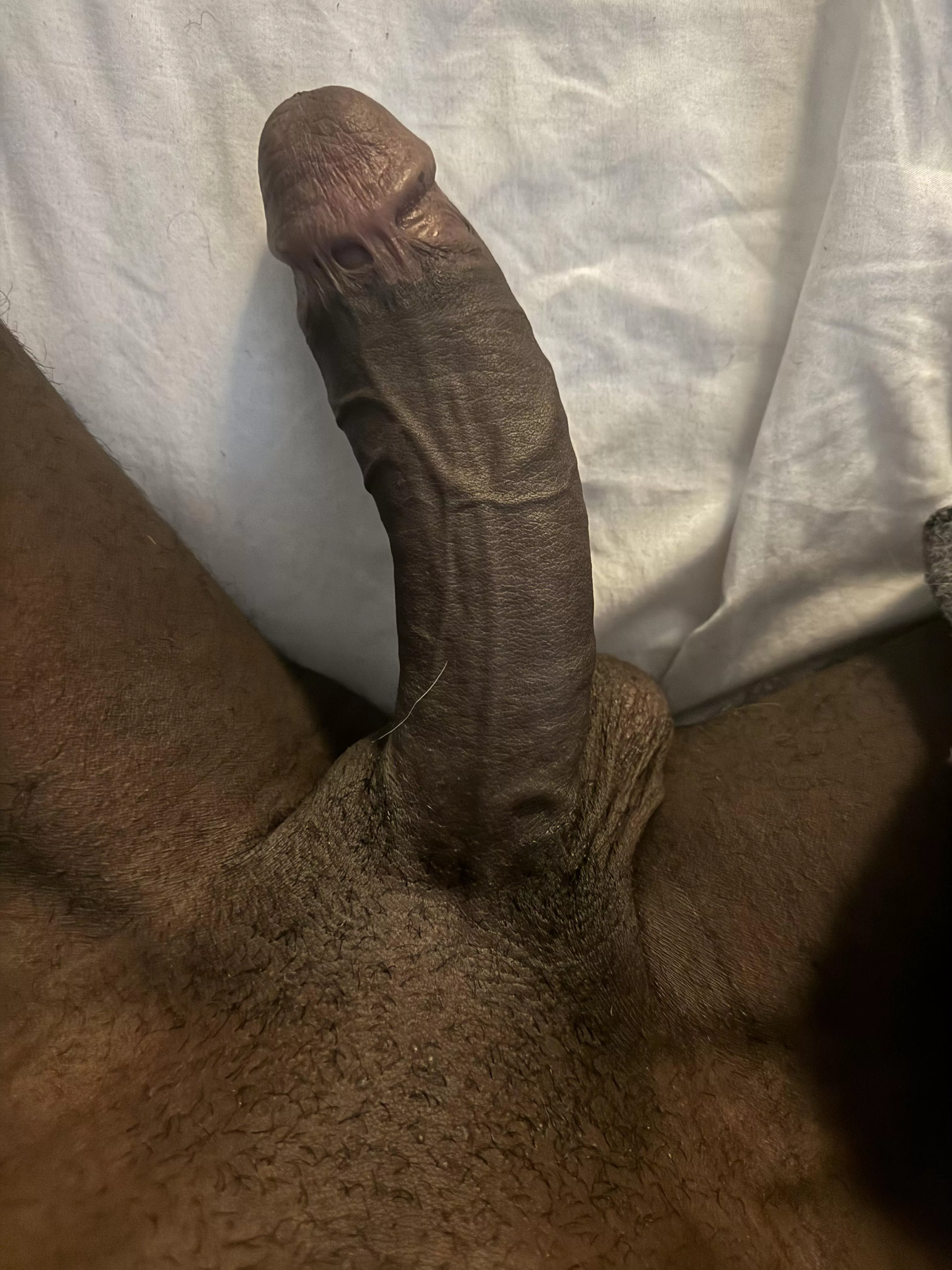 Where the bunnies at? posted by Professional-Shame99