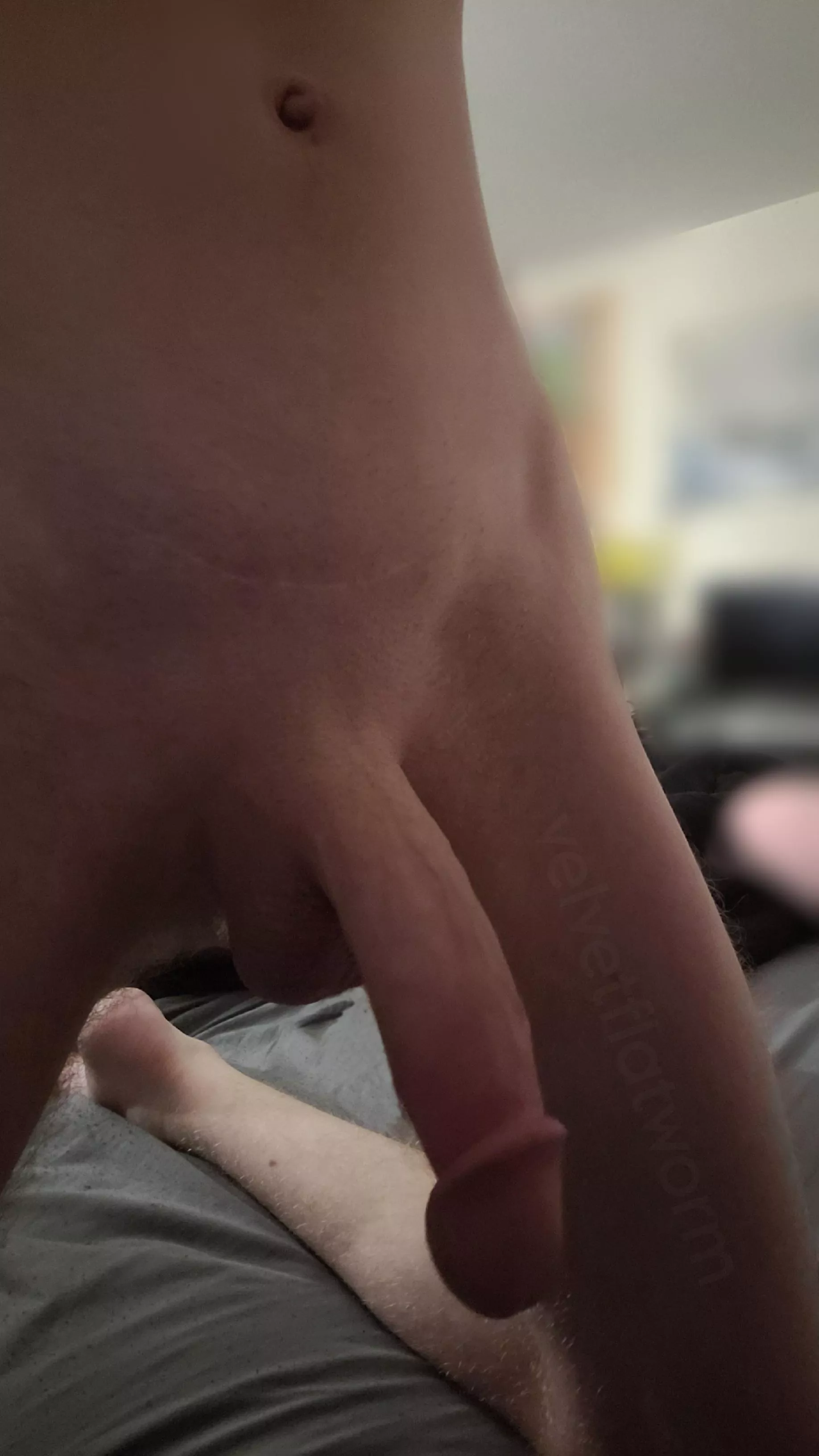 Accidentally flung precum on my phone and myself while taking this posted by velvetflatworm