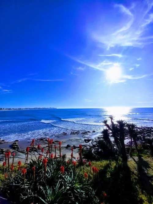 Waikiki Lookout 🌊🌺 by wearetwohot