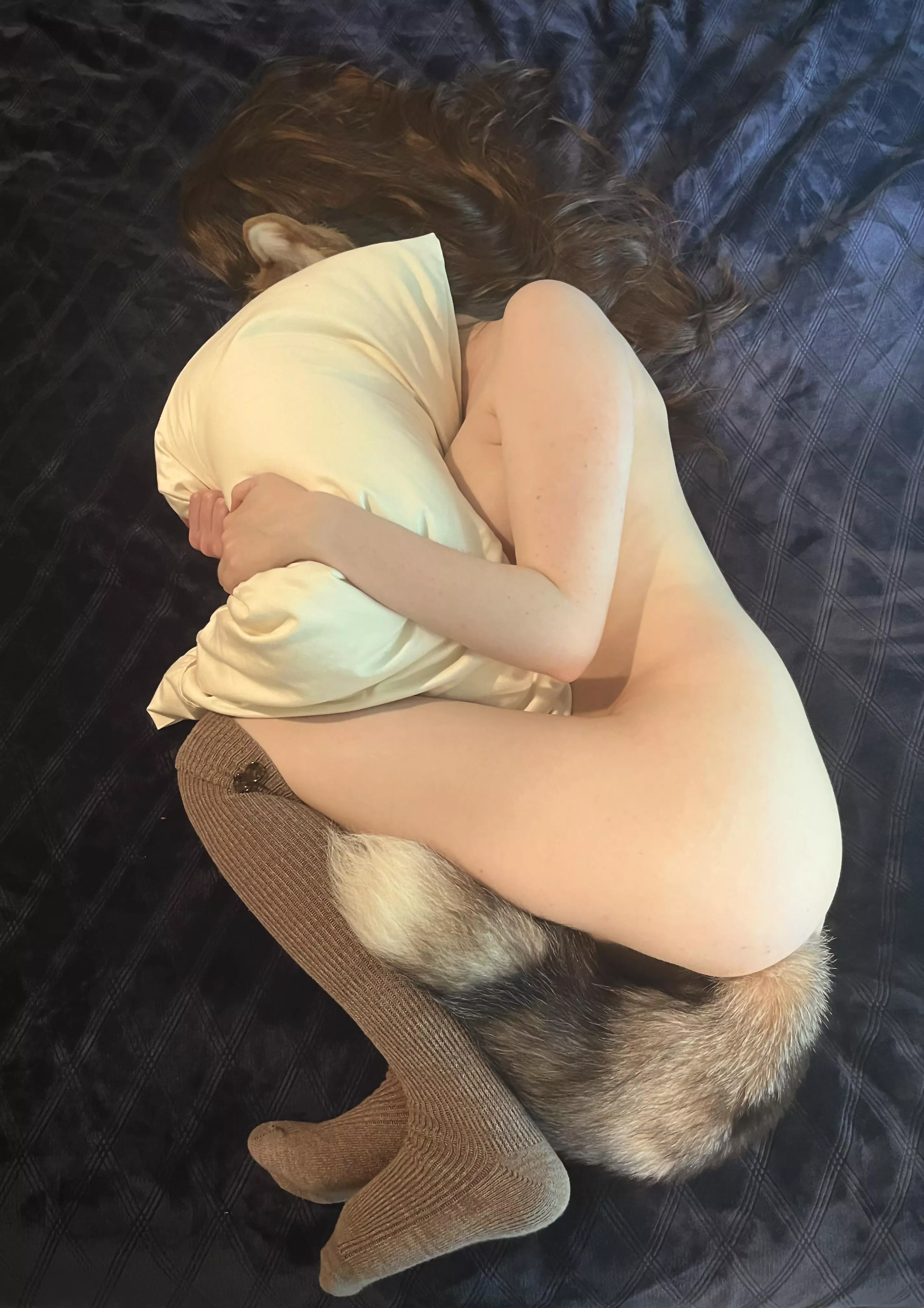 What do you do if sleepy kitty is taking up the middle of your bed? posted by MayeBird