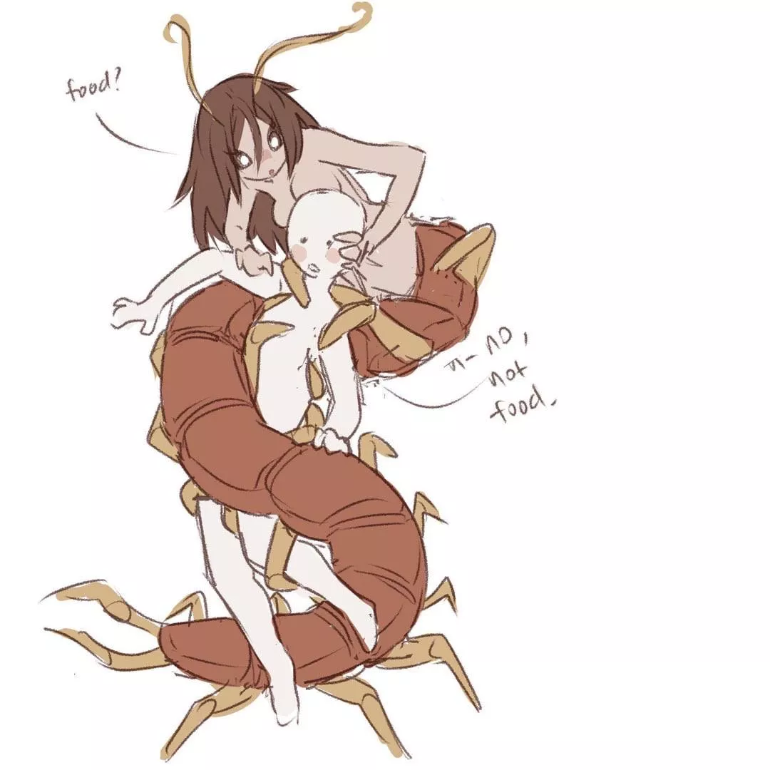 Centipedes sure are curious…. And hungry posted by Wolf-Baitt