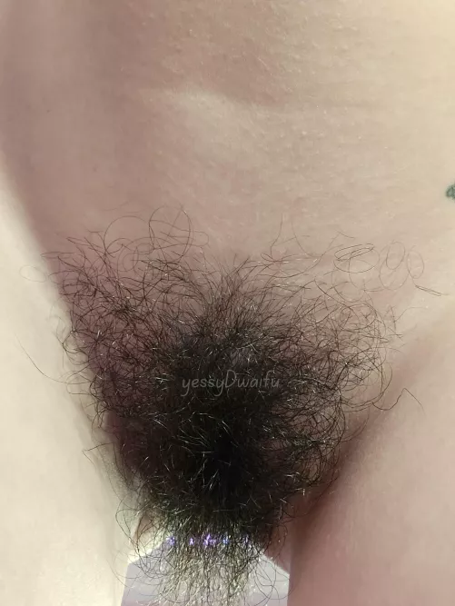 do you prefer a naturally contained bush?  by yessyDwaifu