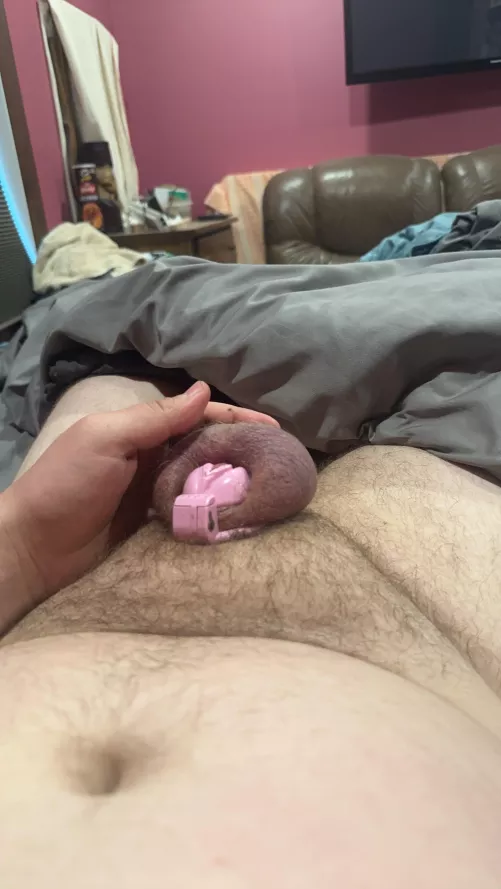 I beg an Alpha Daddy to make me your sissy bitch by eutes96