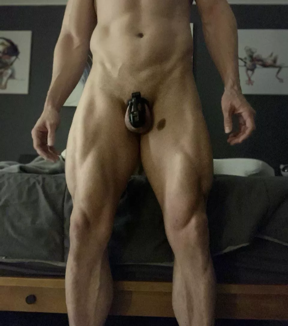 Locked up again 🔒  posted by cubanomalo02