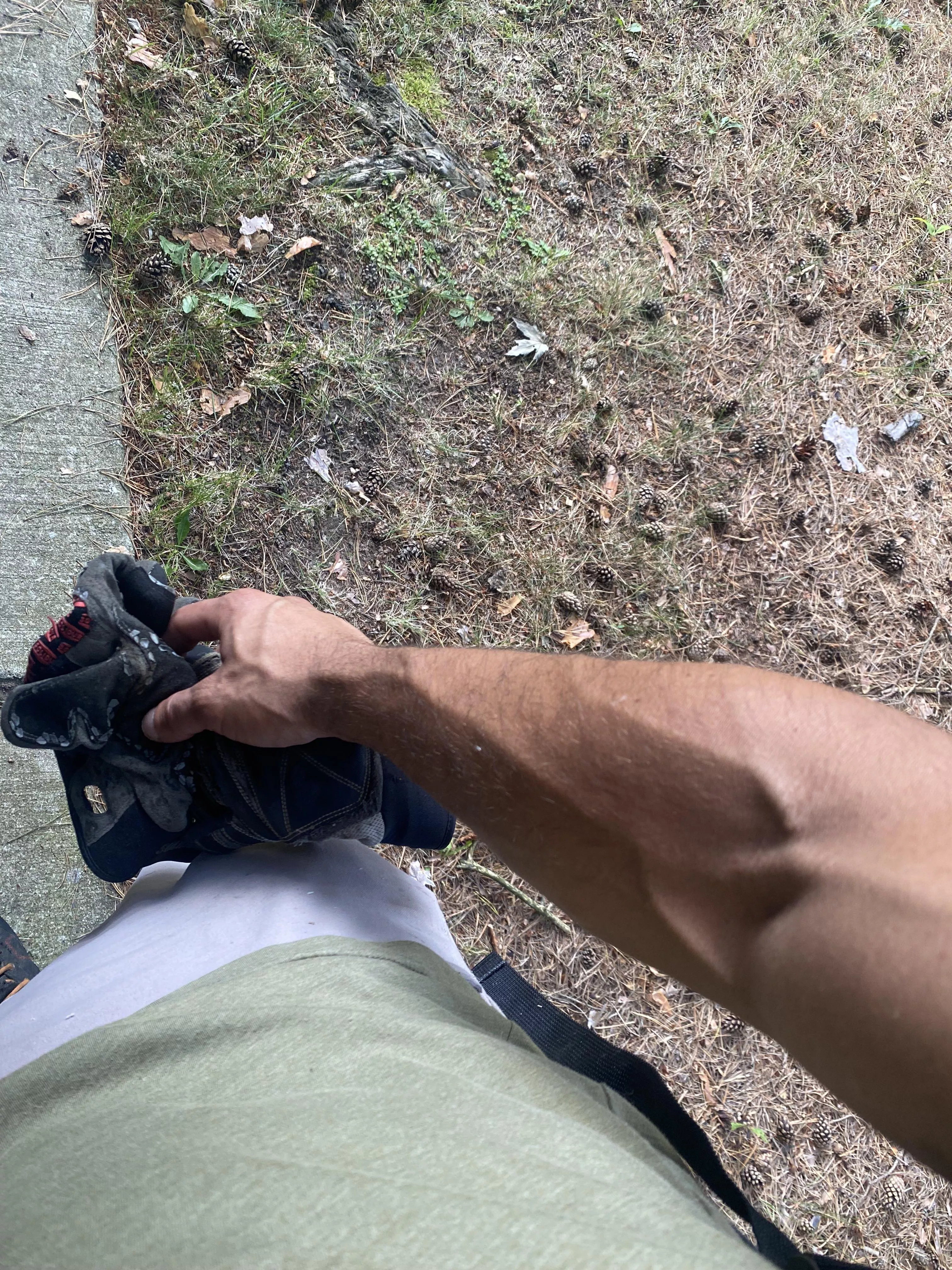 Check out those pinecones 🙃 posted by Quietlywaiting44