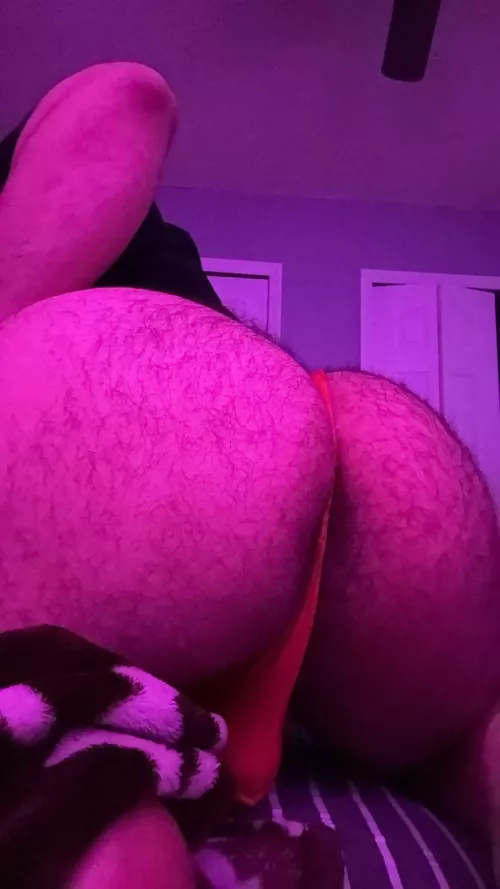 Fuzzy  by Key-Peanut5112