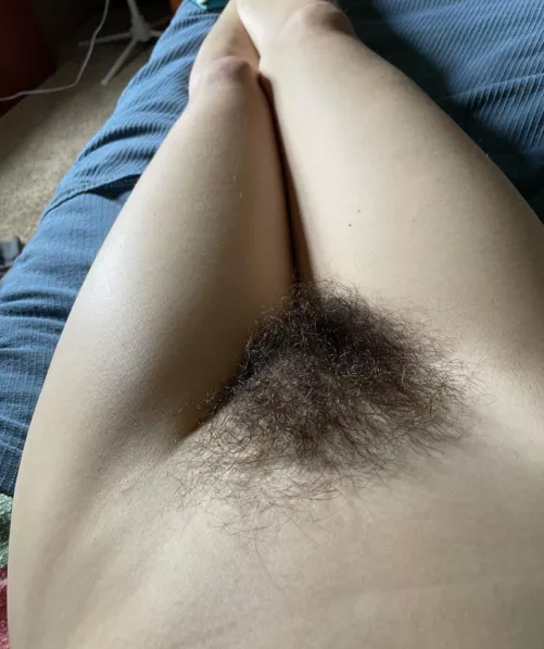 Haven’t trimmed in over a year by NessaRyans