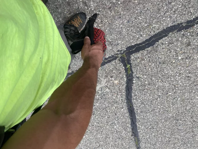 Look at this tiny weed growing in the middle of the road by Quietlywaiting44