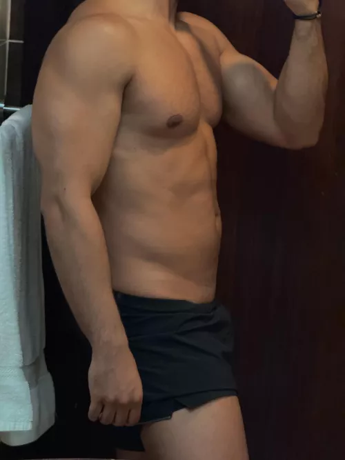 Post chest workout, what do you think? (29) by Massive-March-9679