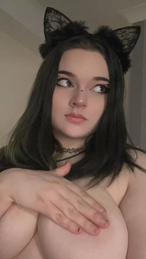 Who likes the cat ears by IvyRiina