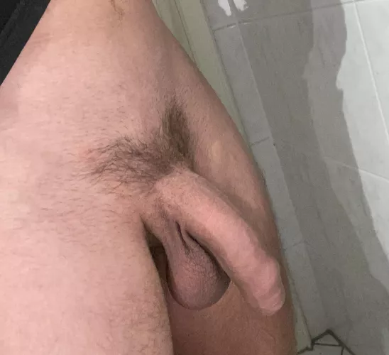 (23) Both are hanging in there 😬 by shiggy95