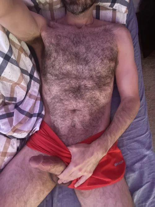 Hairy Horny Hard Daddy by Gayyyfun
