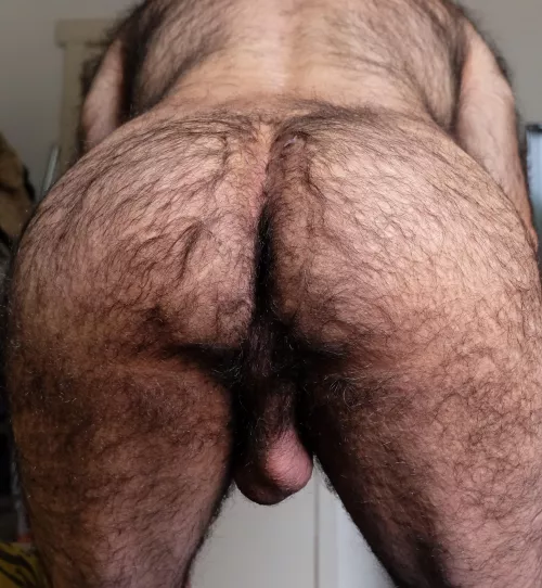 How about this? by Hairypanter