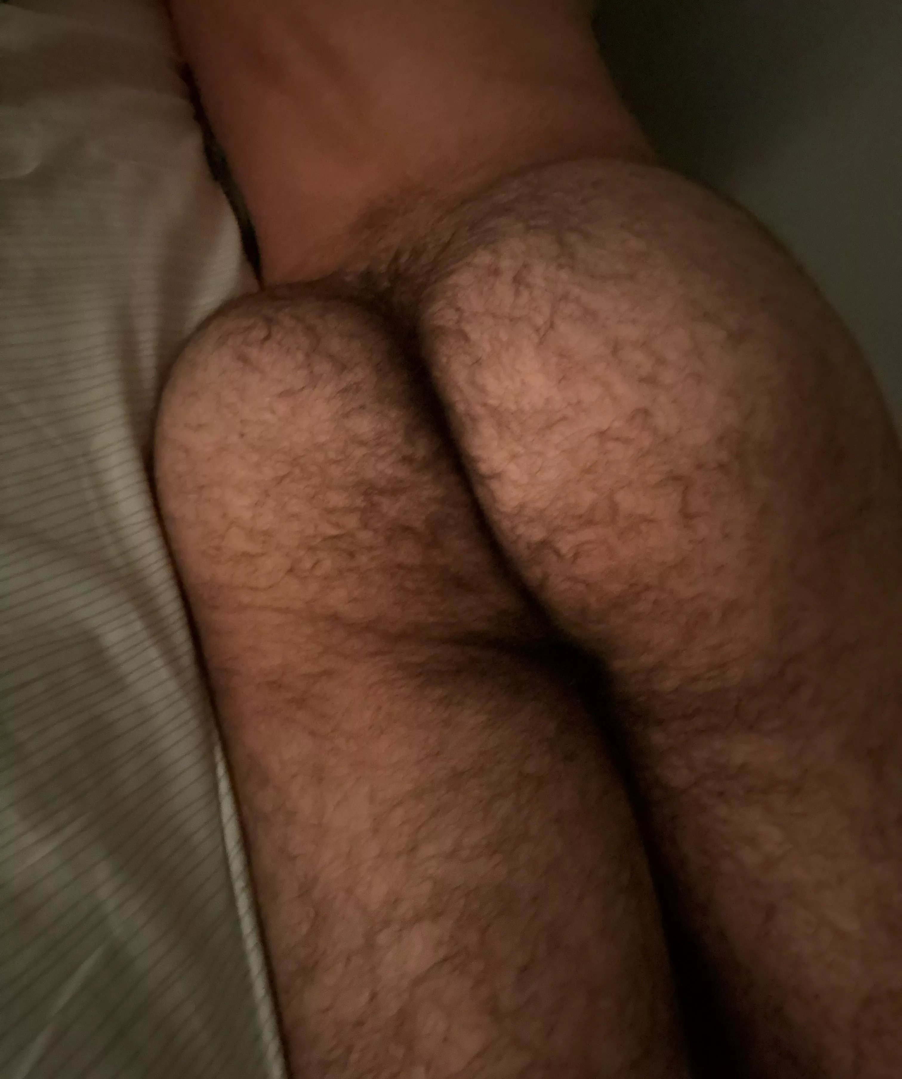 need someone in bed w me 😫 posted by Maleficent-Bite3689