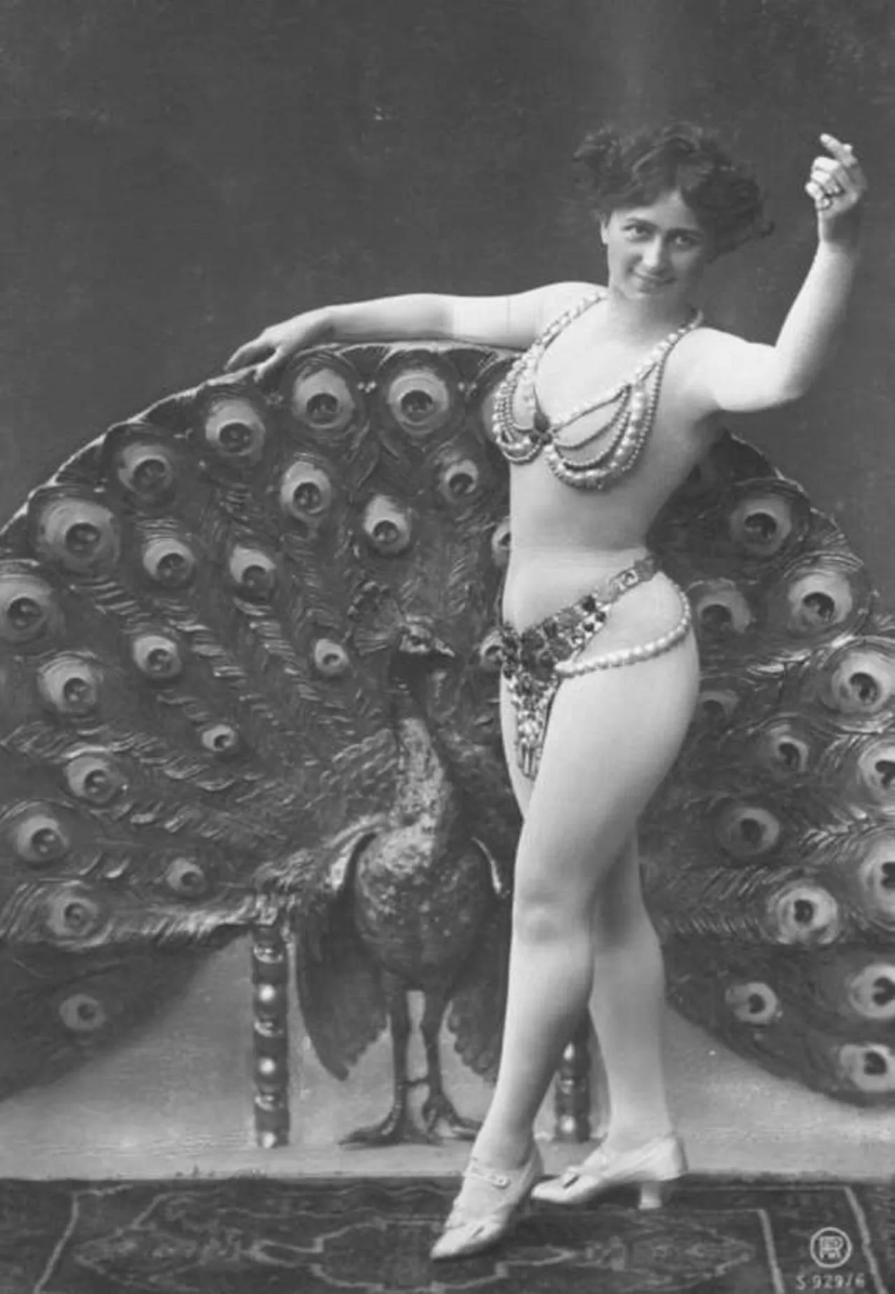 Peacocks? posted by Mundane-Employer-719