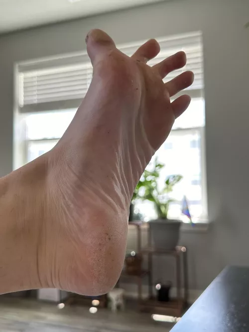 Post-park dirty soles ☀️ by Miserable-Height-782