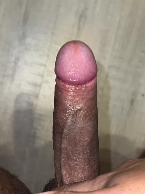 any twink wanna hit my dms? Im very horny by Next_Nothing9242
