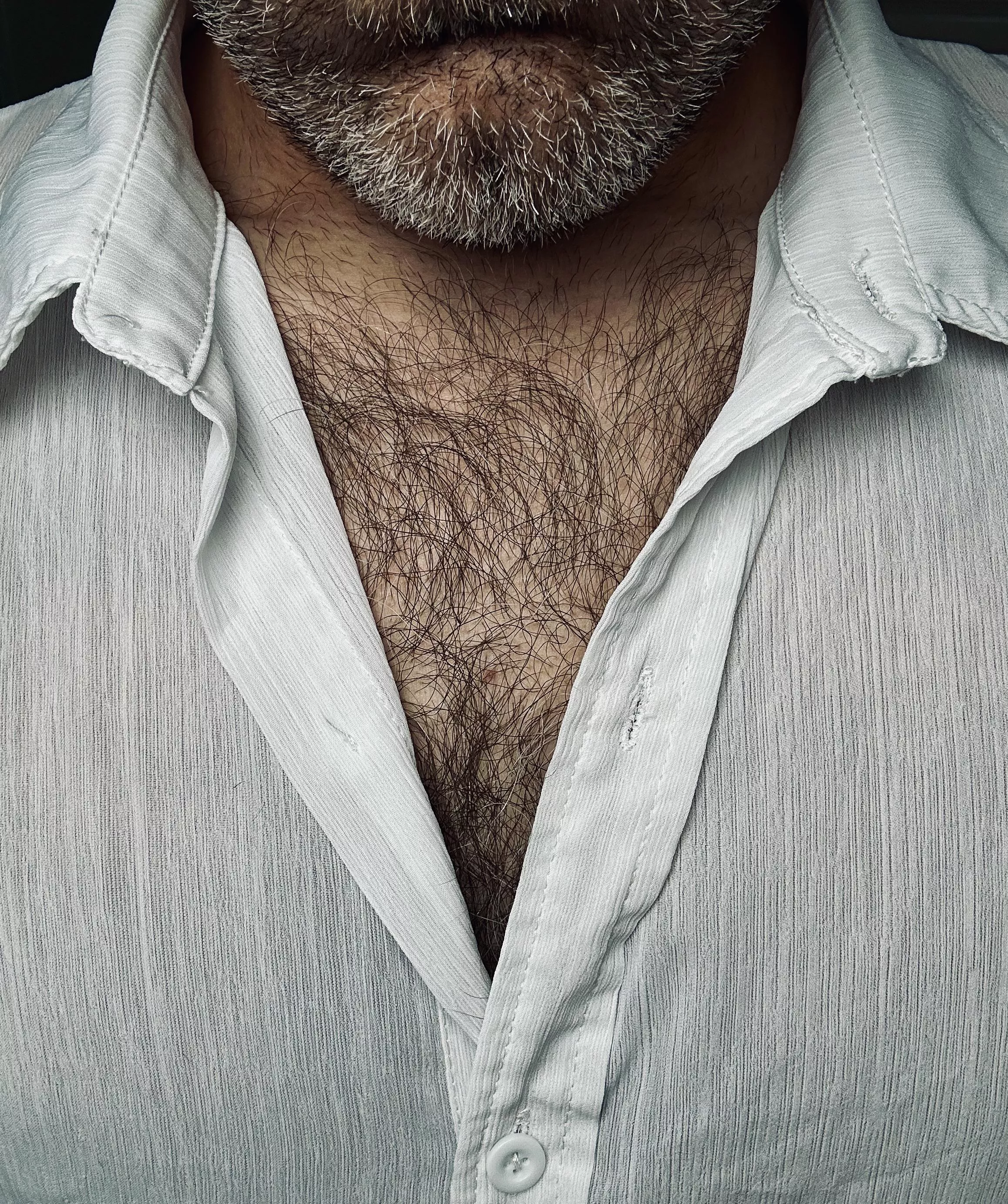 Did I catch you staring at my chest hair? posted by jerseyjaxoff