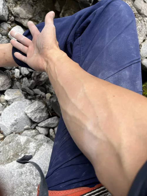 Apparently rock climbing is good for forearms? by gS_Mastermind
