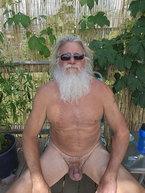 Fast growing zone 4 bushes by albothefishingman