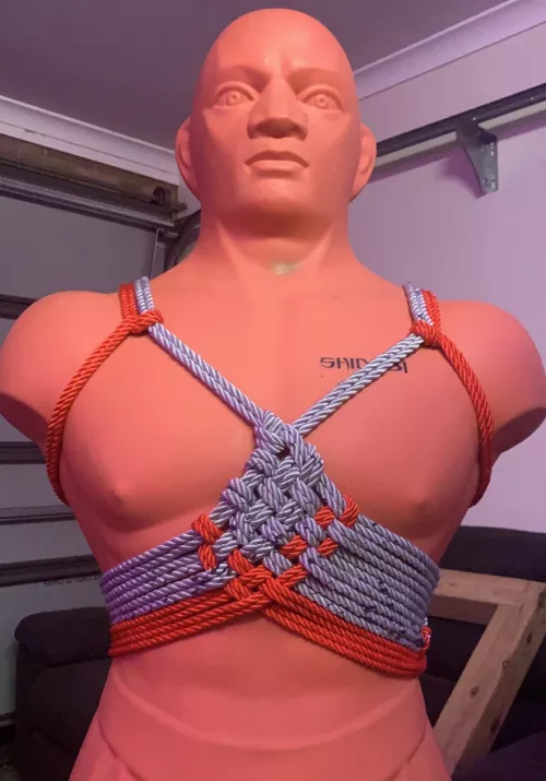 Something I randomly did to pass time in between sets at the home gym by No_Teaching449