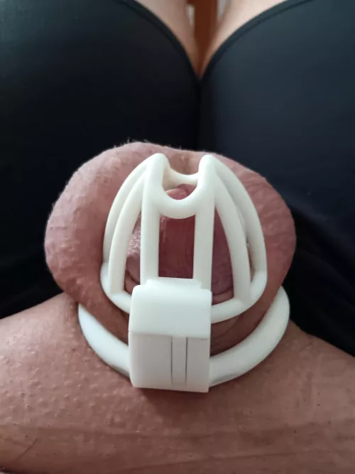 What ya think?  by Frenchieboy2771