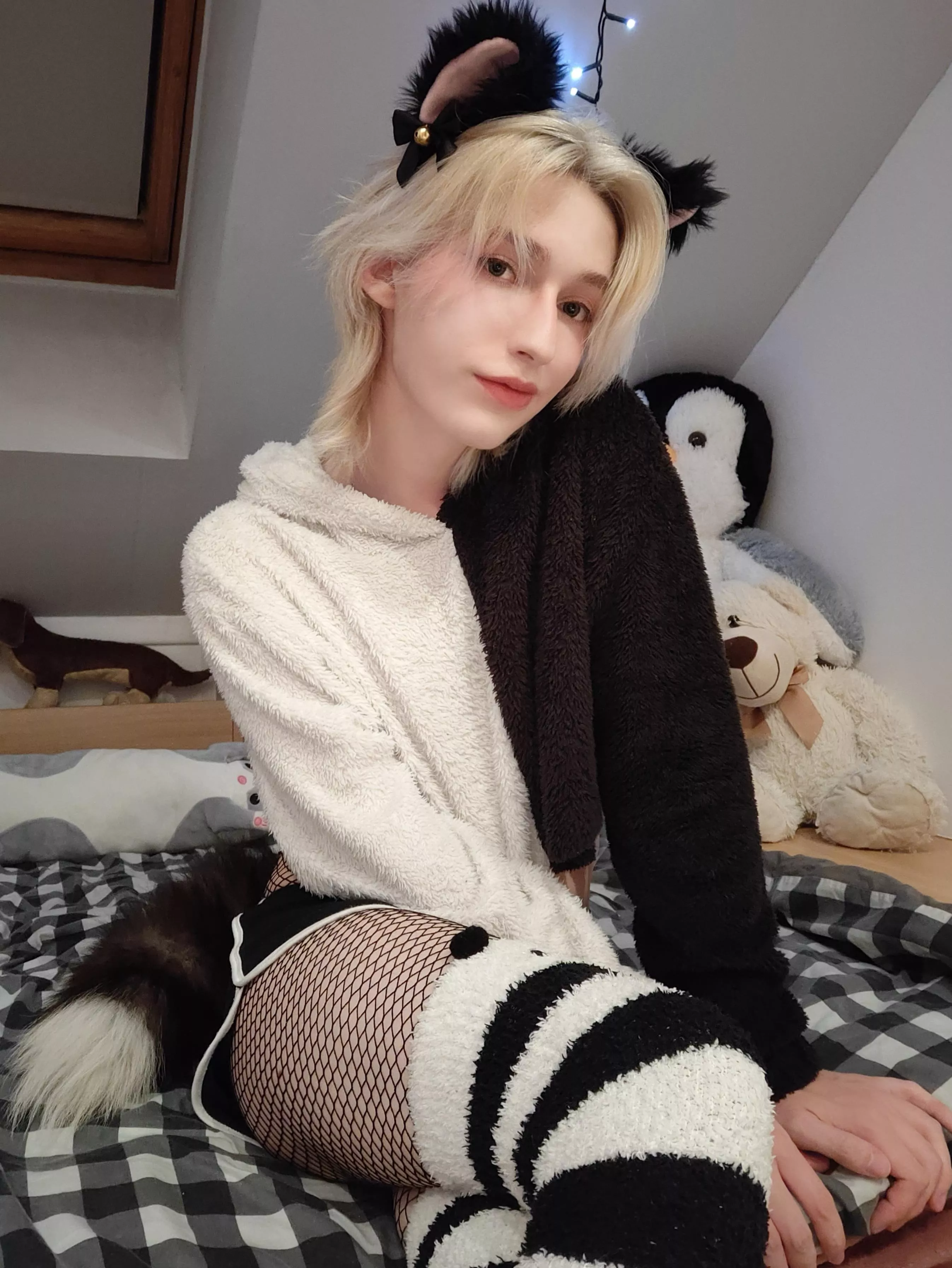 Hi 🐱  posted by MHemingway_