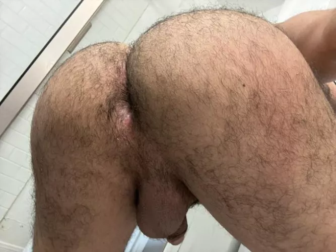 How’s the view? Would you breed me 🙊 by Public_At