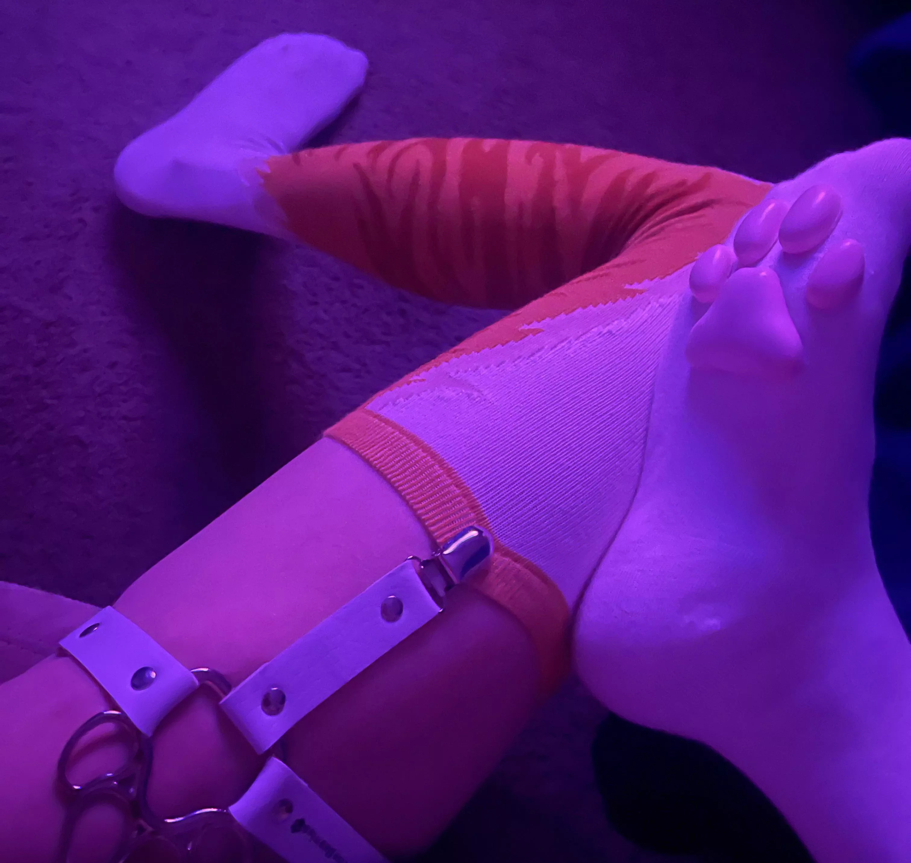 New thigh-highs🐾 posted by petandpat