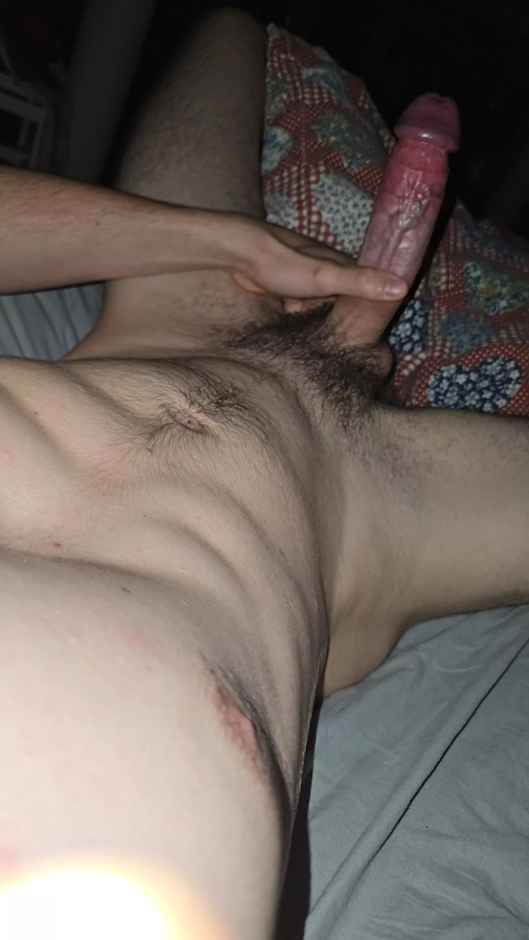 Would you ride me? posted by Boring-Examination34