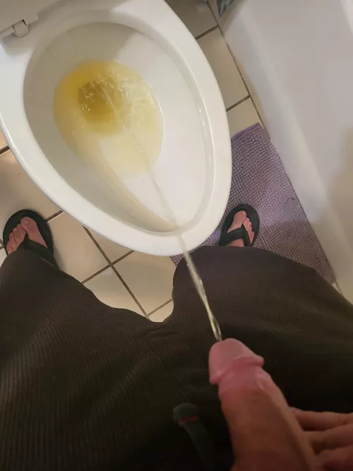 Can i have a human toilet? by riddick_77