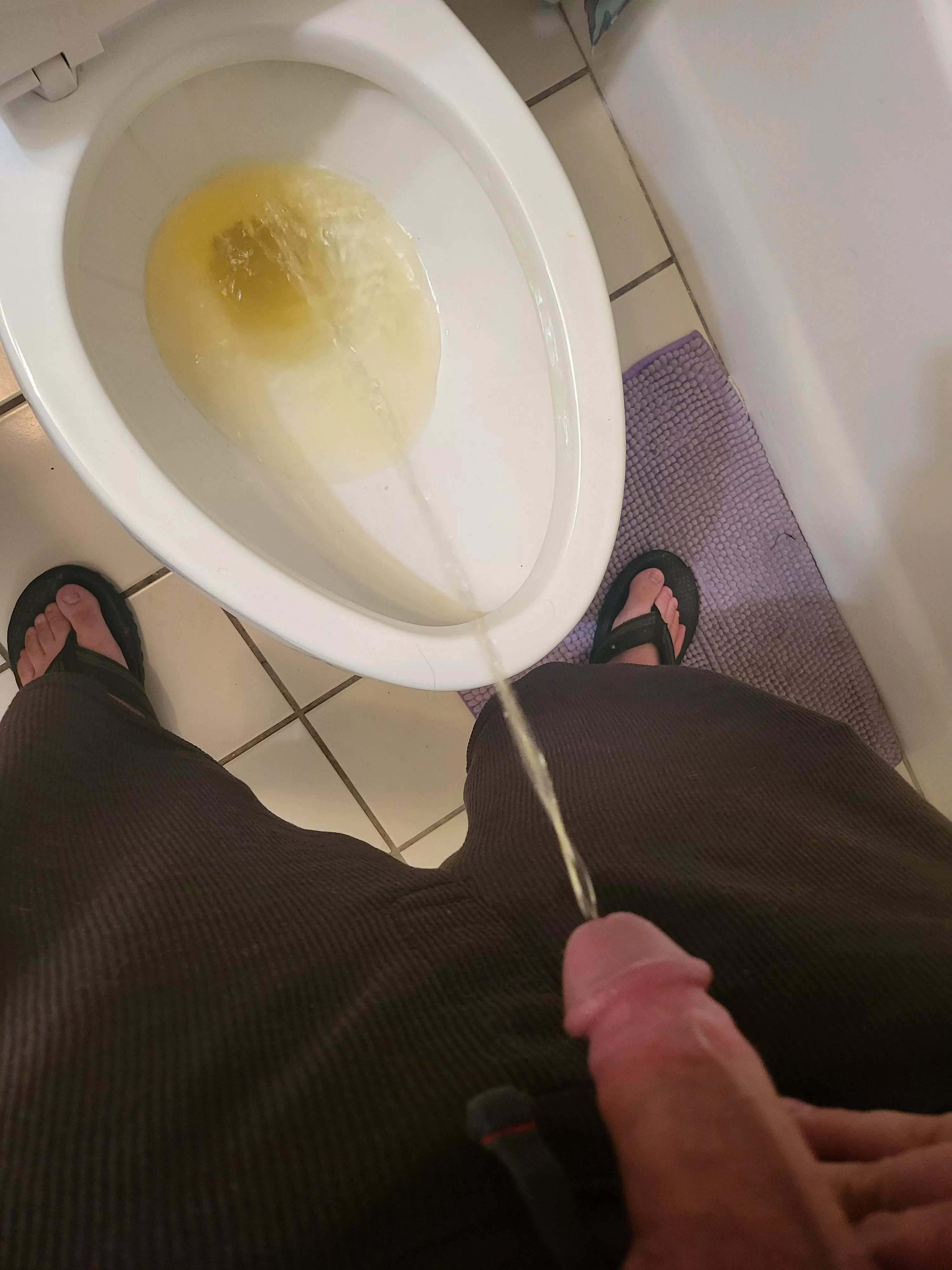 Can i have a human toilet? posted by riddick_77