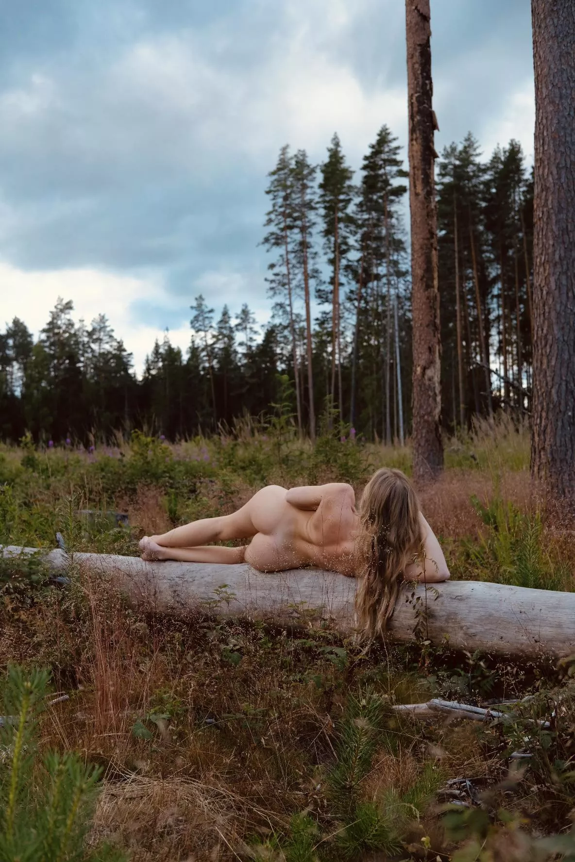 Enoying the forest posted by Artanni55