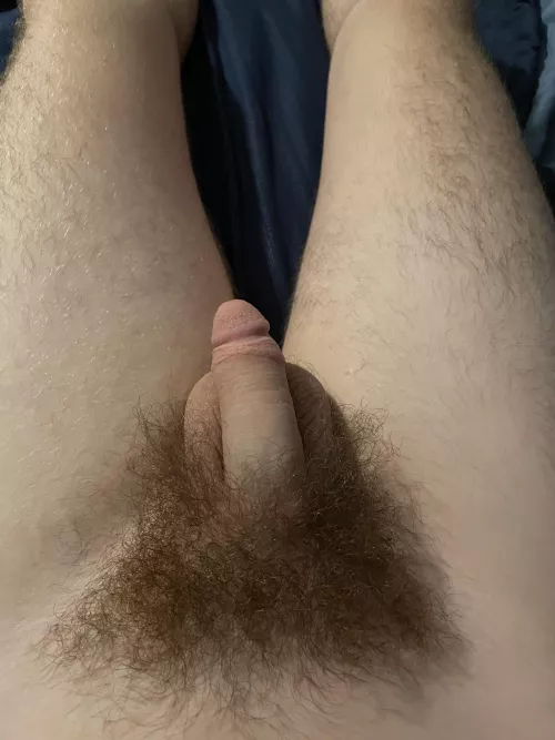 Quick softie 18 by Creative-Milk-8671