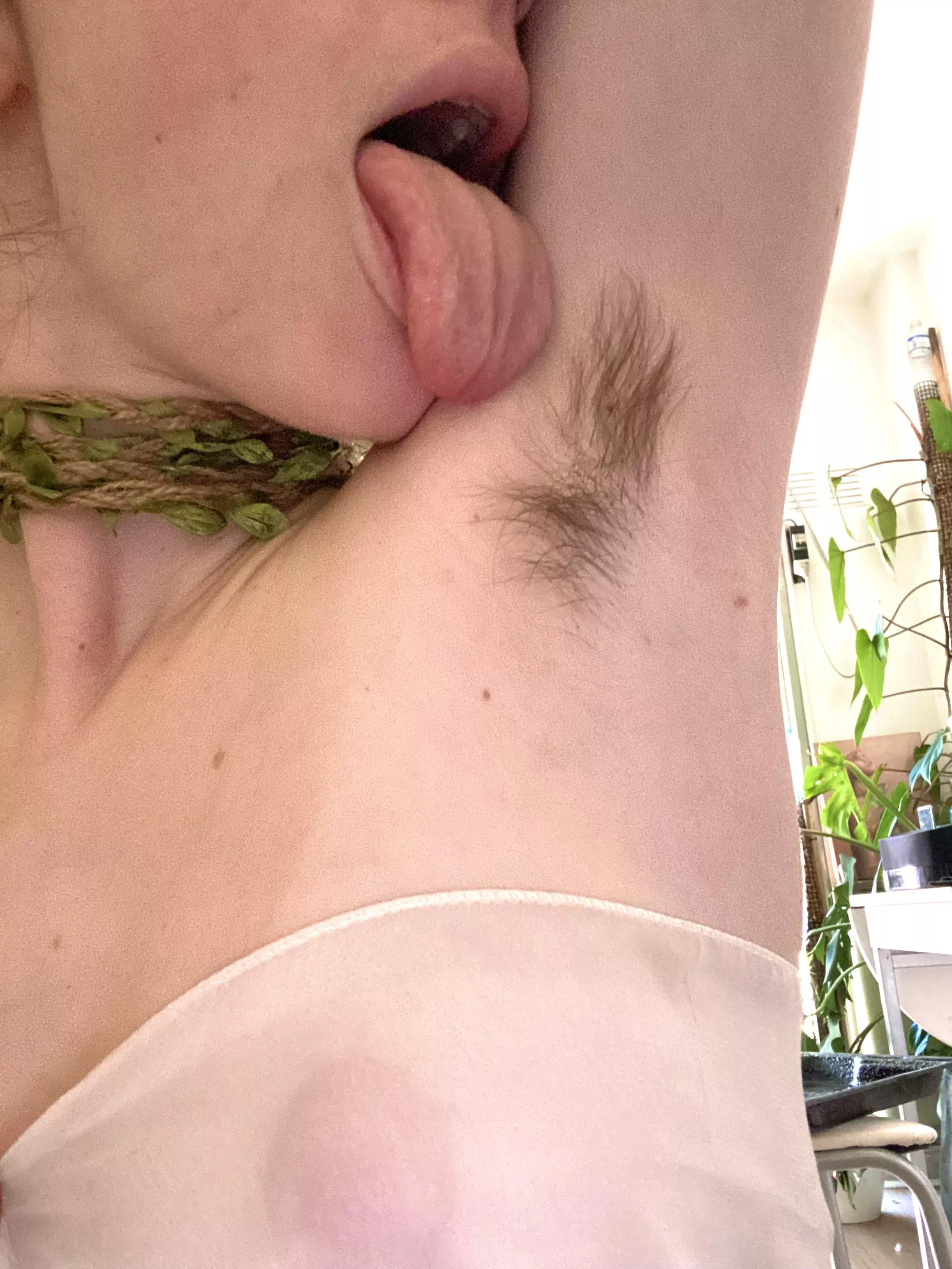 Yum posted by franuella88