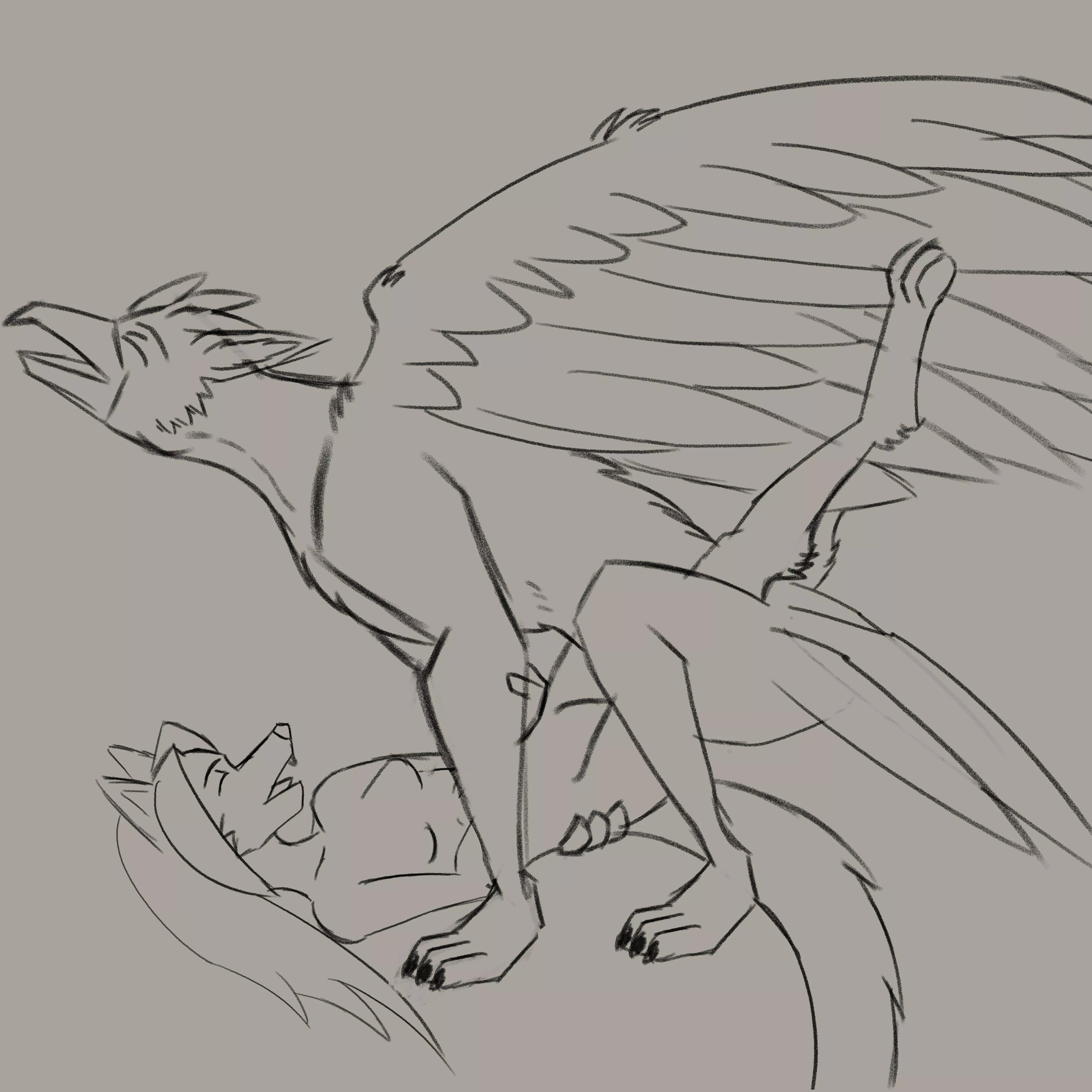 A wolf girl and her griffon [wip](newtype89) posted by newtype89