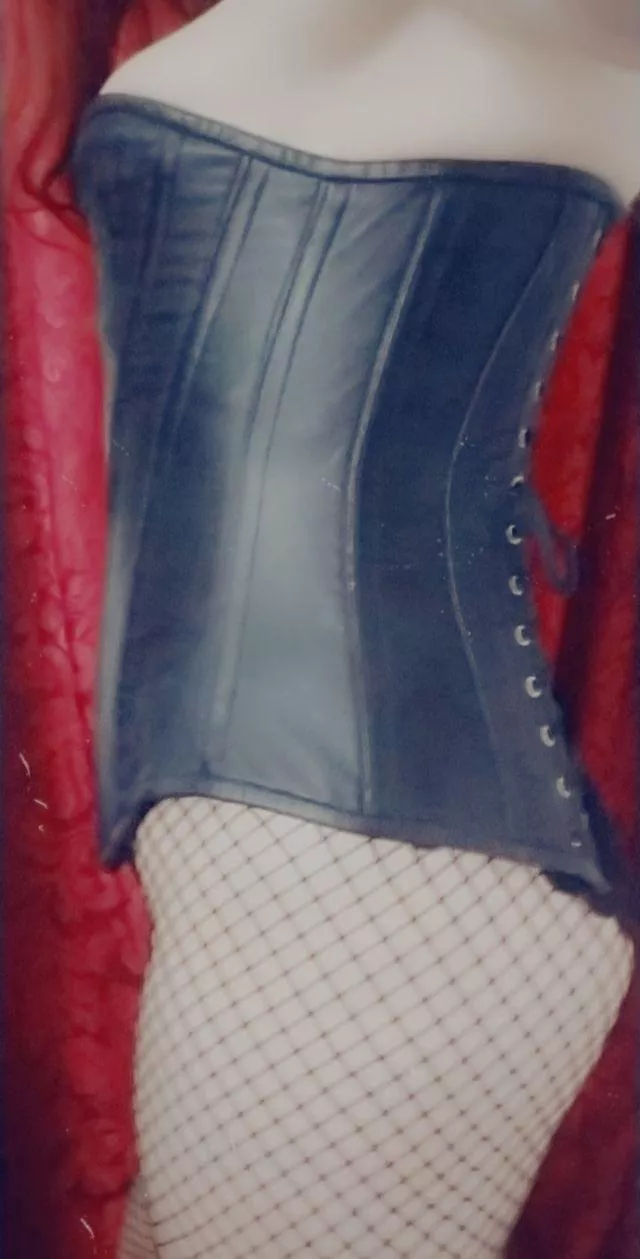 Leather and steel boned security  posted by Wise_Addendum_1135