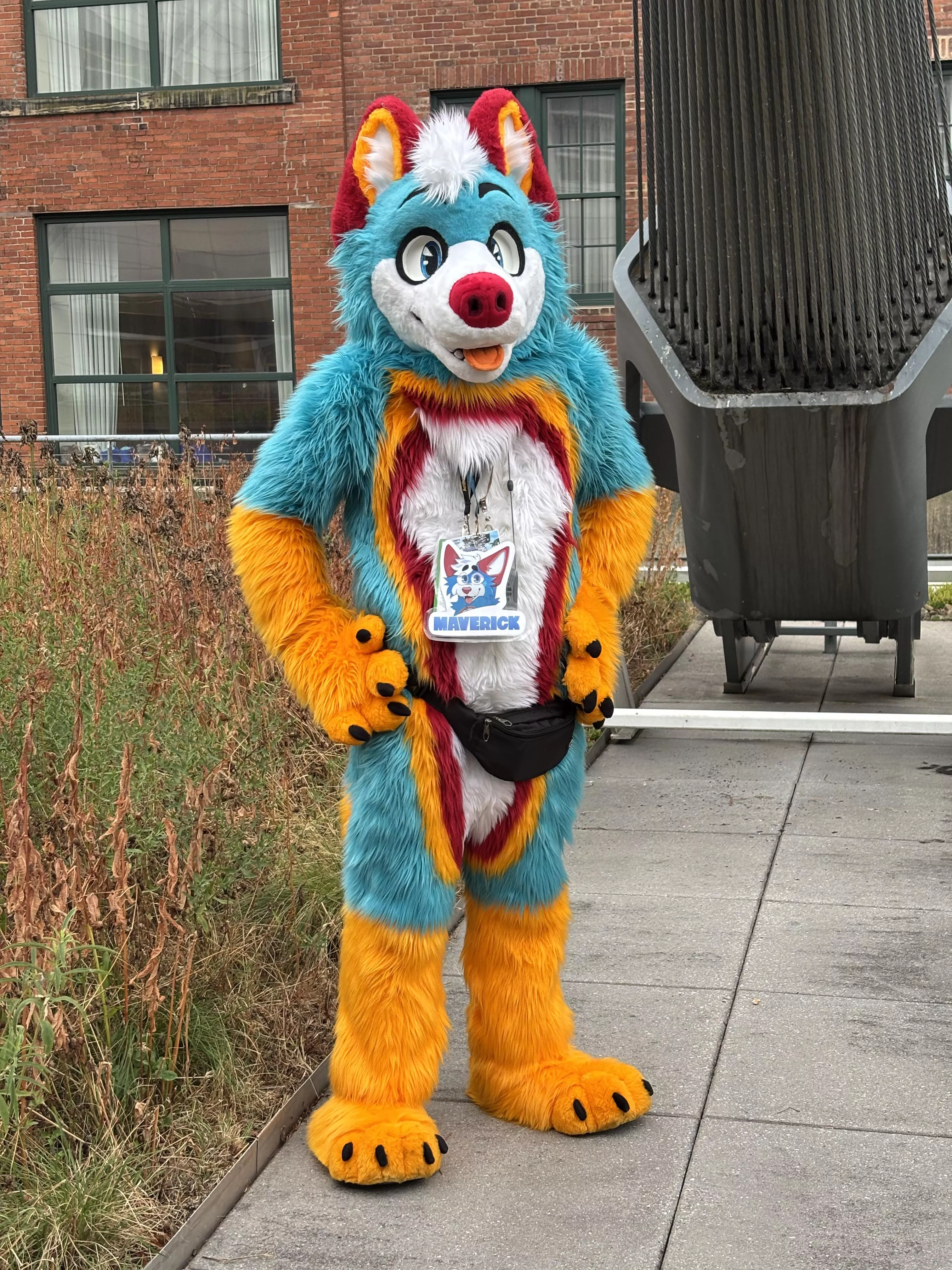 This husky is on the search for some hugs, would you give him one? posted by FluffyHusky88