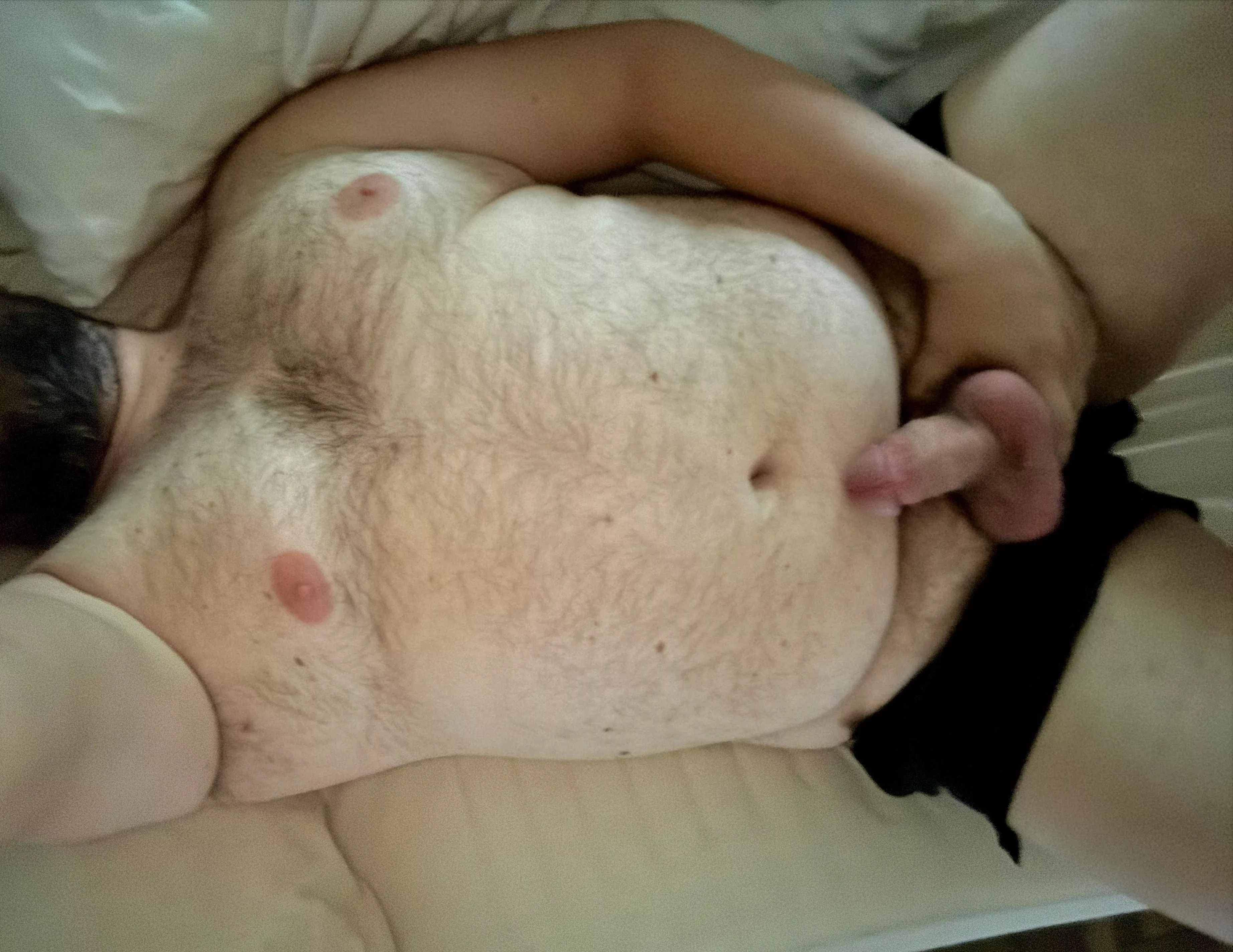 Wanna climb into bed? posted by AdaminFlorida