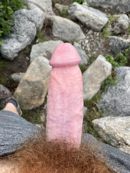 Best part of early hikes is that no one’s around by Available-Method-822