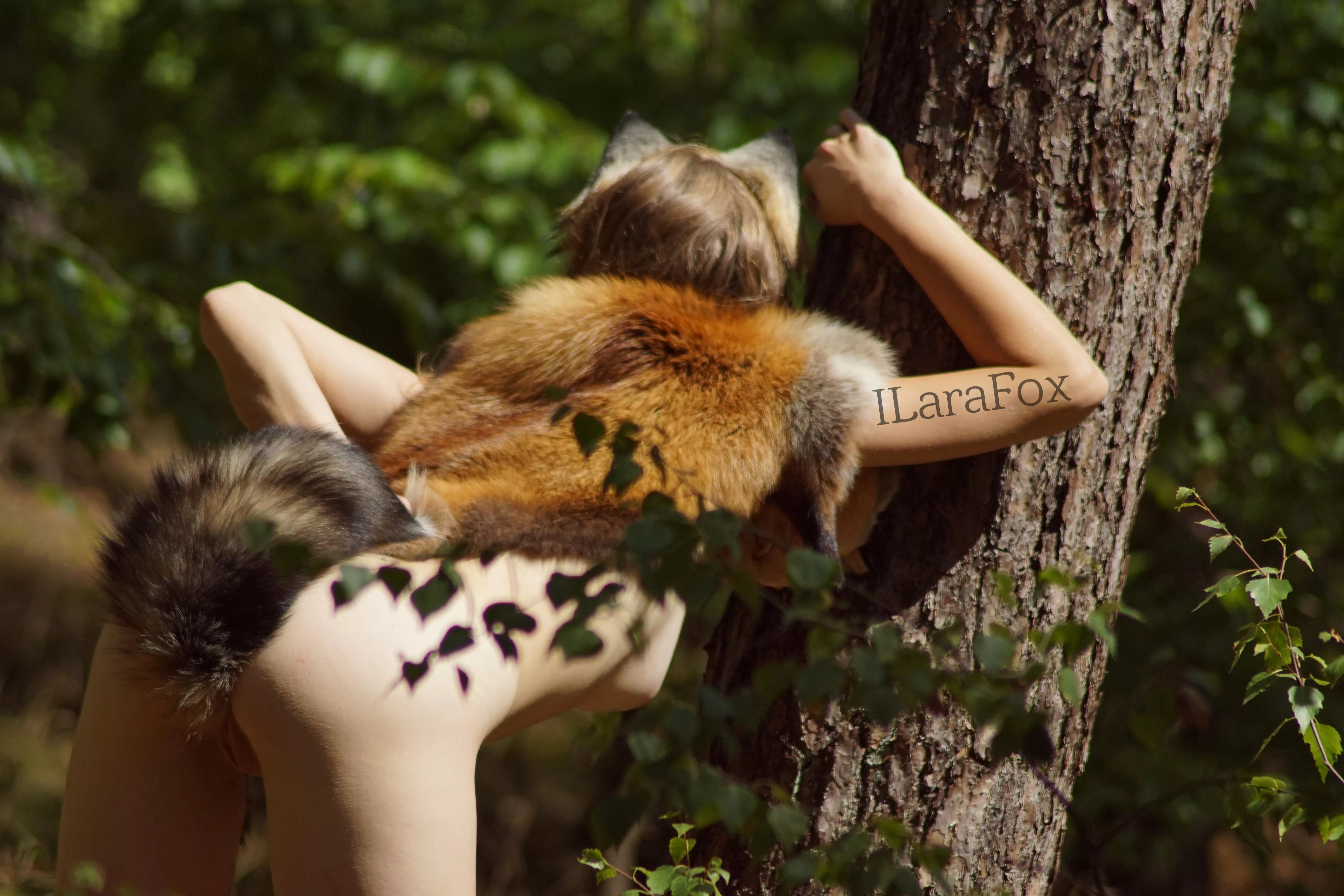 Catgirl in her natural habitat  posted by ILaraFox