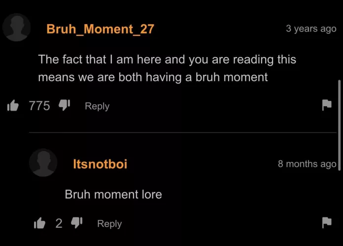 Certified top 10 bruh moments by McHampter_sandwich