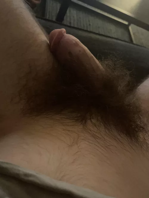 Hope you like my bush by hey_Nudes