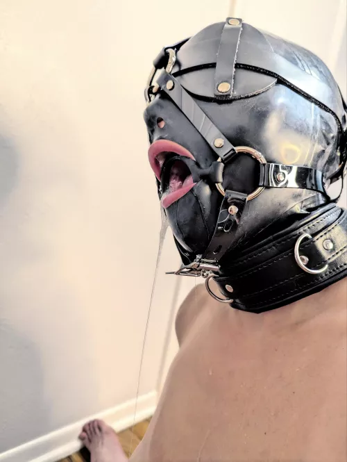 Master gave me a gift by Training_of_J