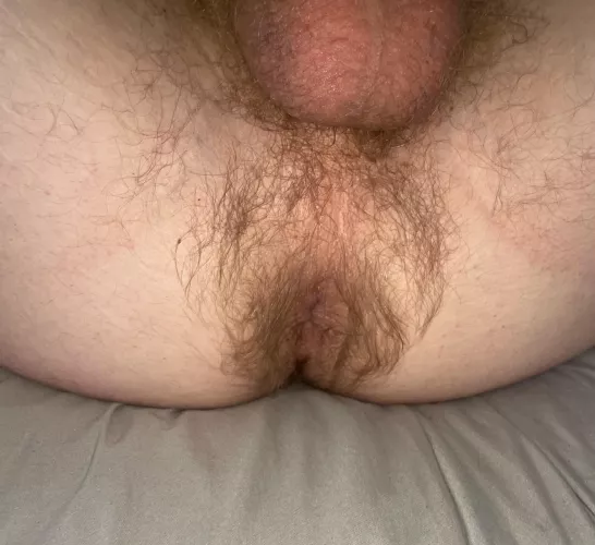 My tight hairy asshole!! What do you think it smells like 👃 👀 by Far-Foundation9964