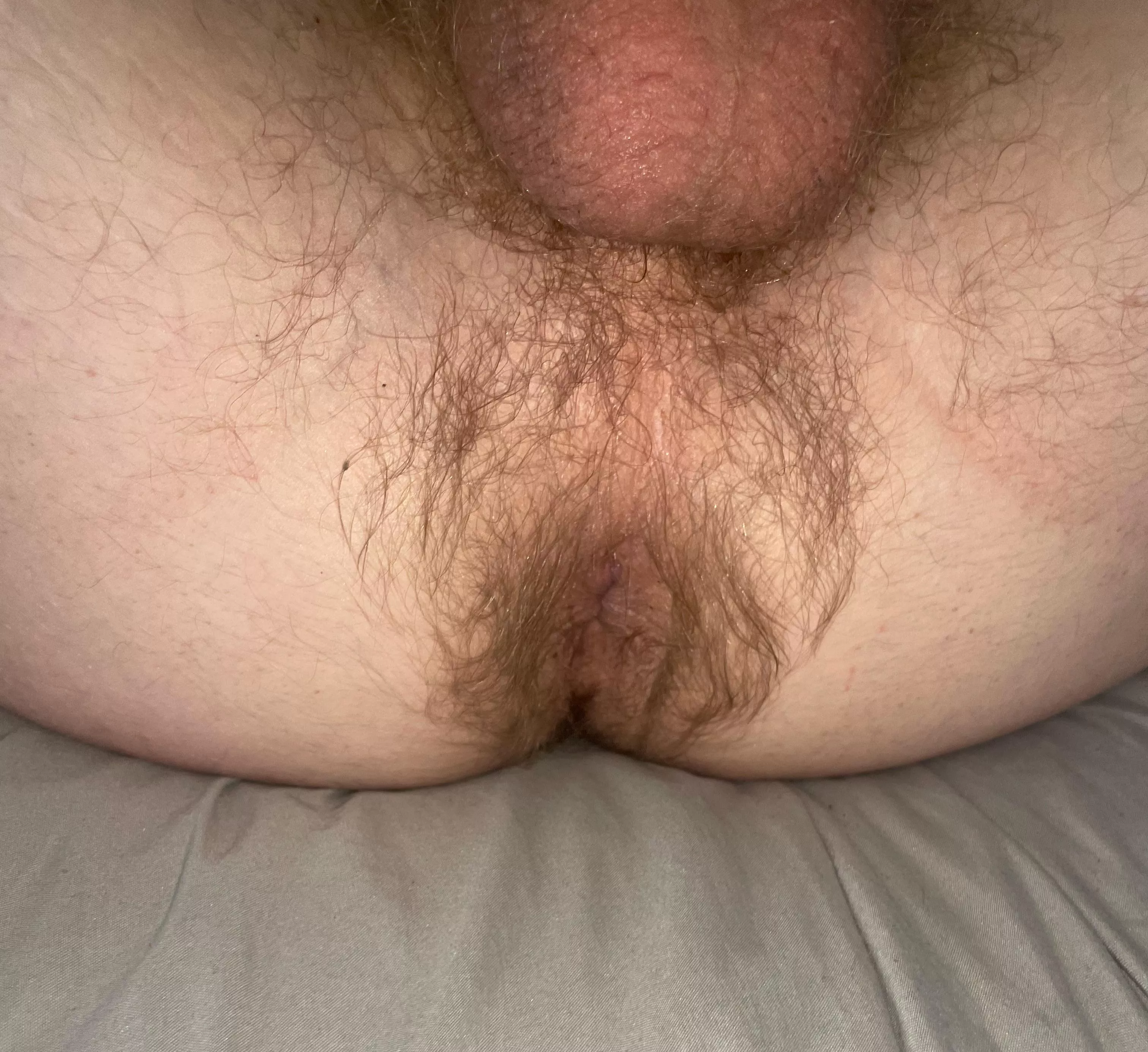 My tight hairy asshole!! What do you think it smells like 👃 👀 posted by Far-Foundation9964