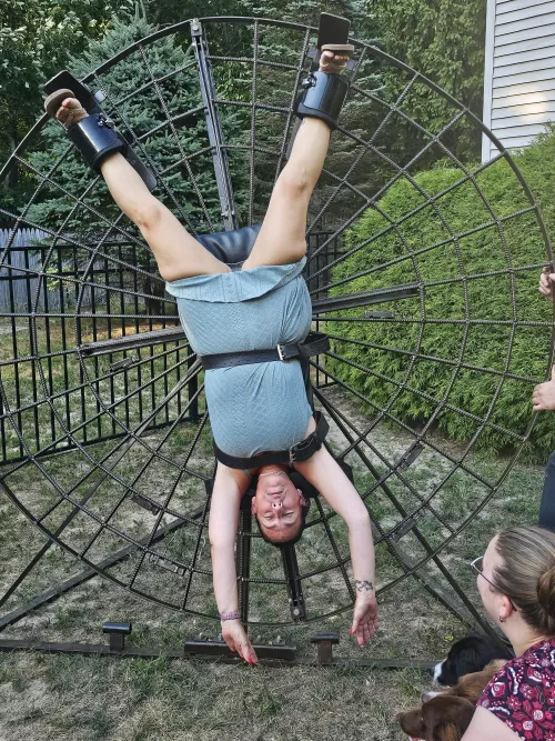 Setting up toys for the weekend by BigDdyRon