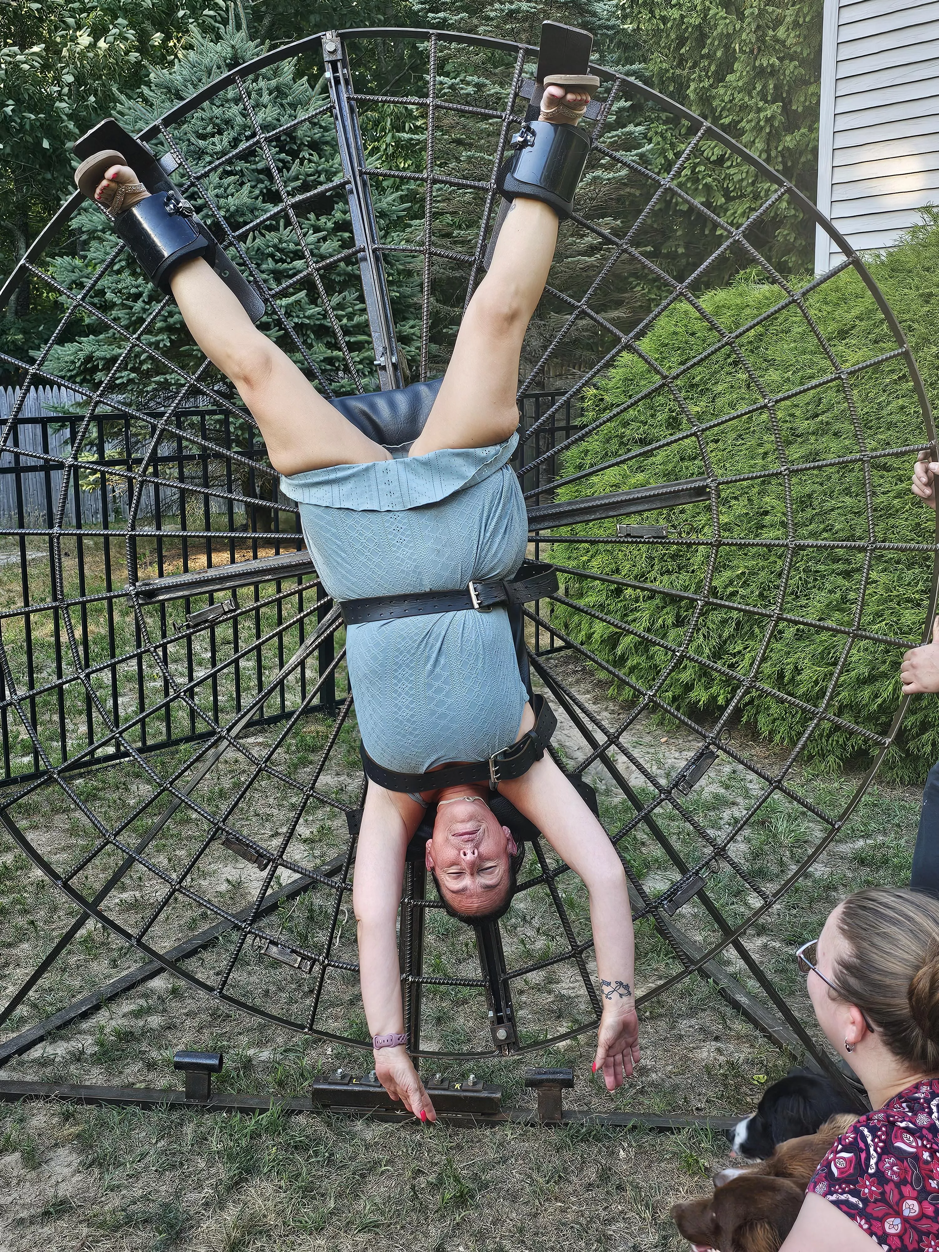 Setting up toys for the weekend posted by BigDdyRon